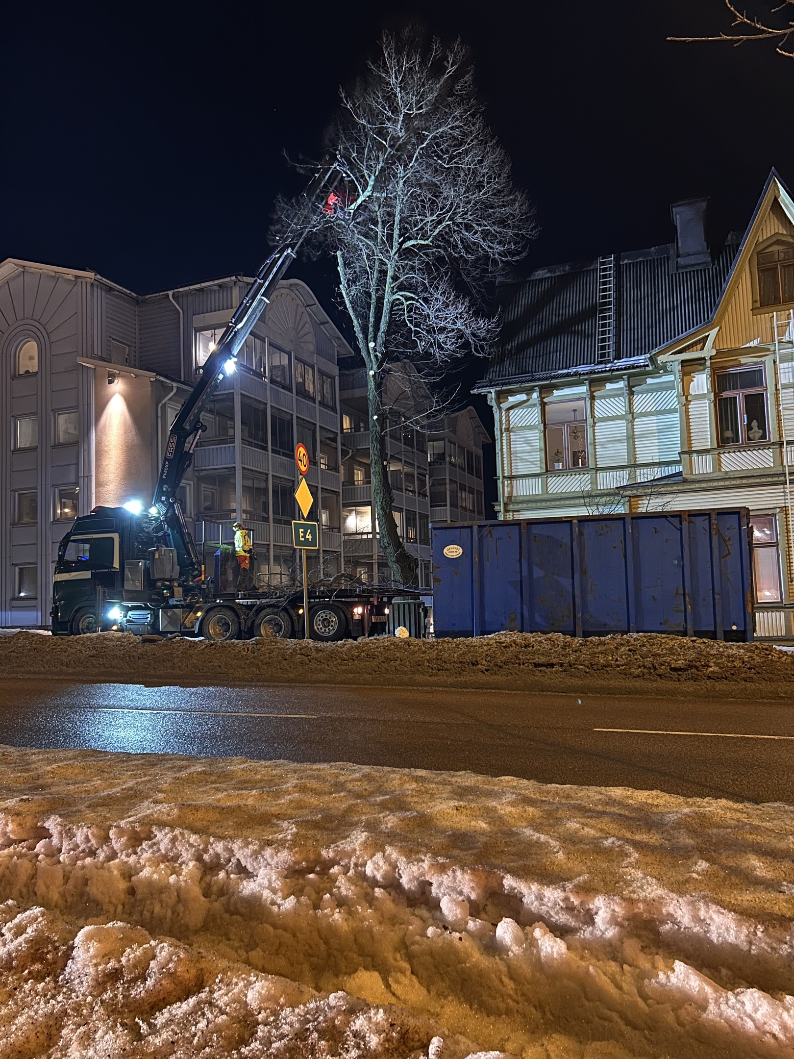 Sektionsfälllning med kranbil av två större träd